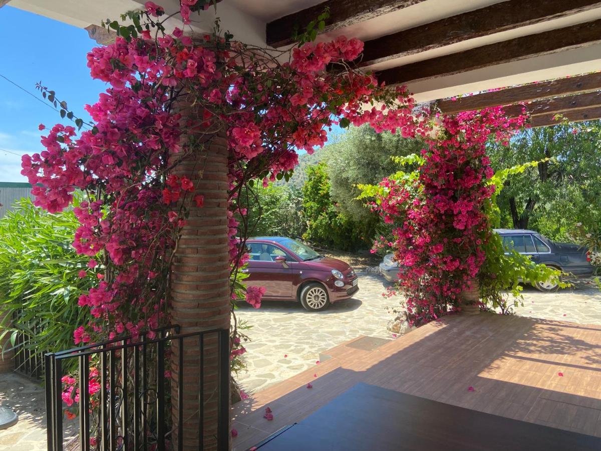 Villa Zahar Periana Esterno foto
