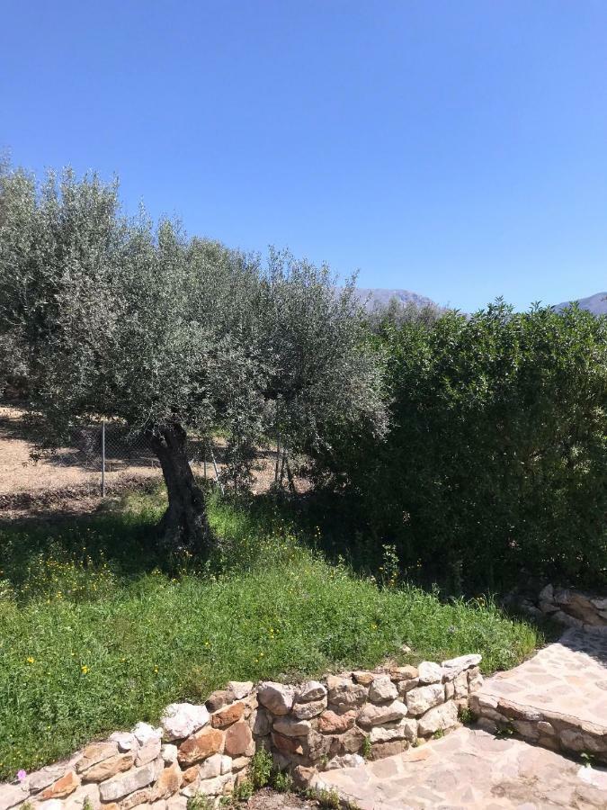 Villa Zahar Periana Esterno foto