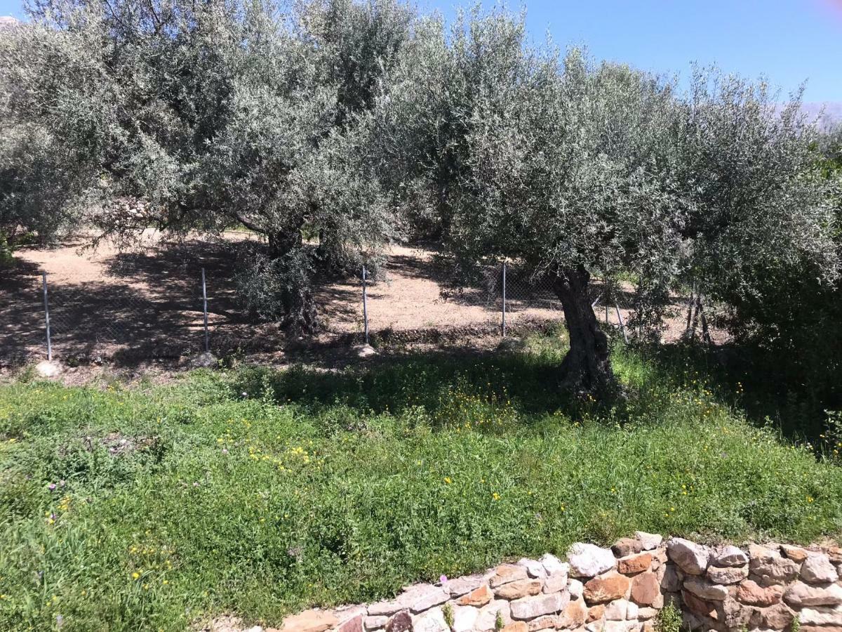 Villa Zahar Periana Esterno foto